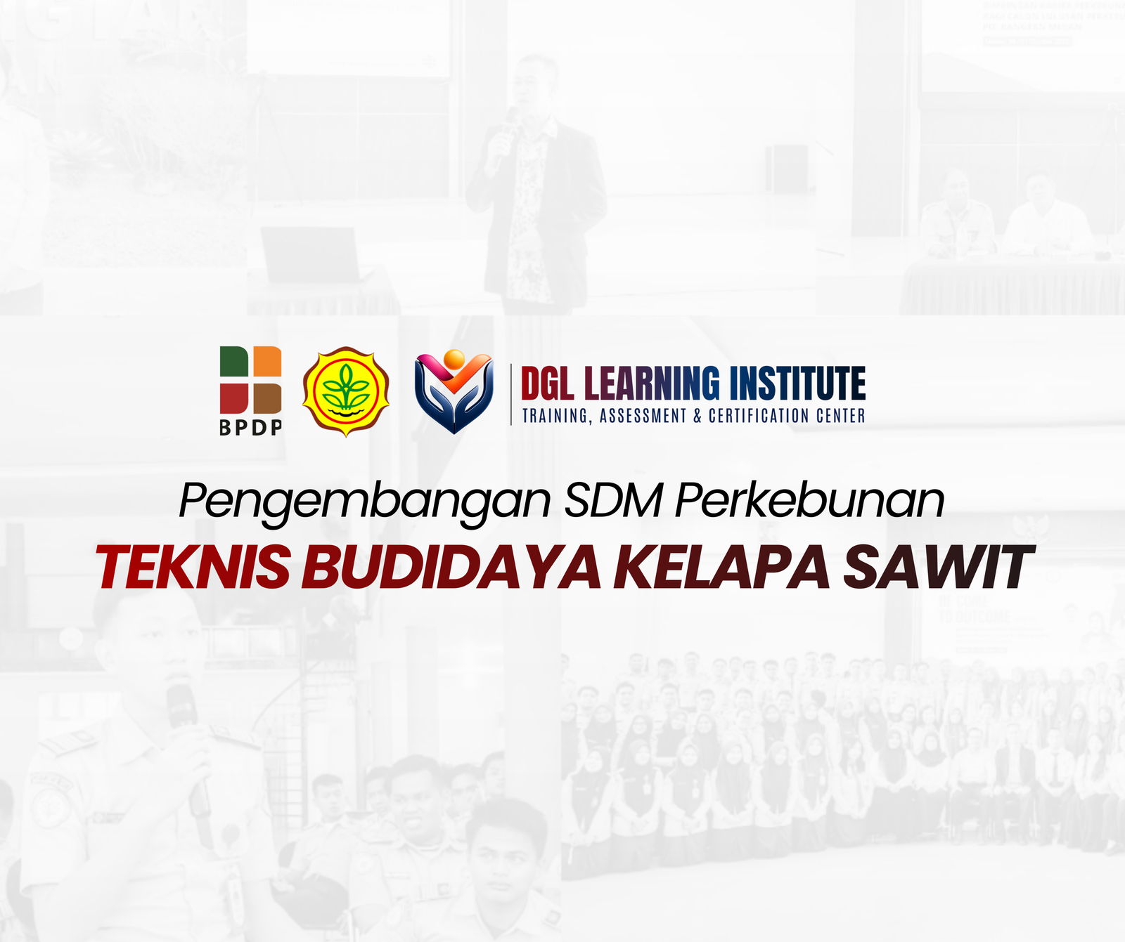 TEKNIS BUDIDAYA KELAPA SAWIT Icon
